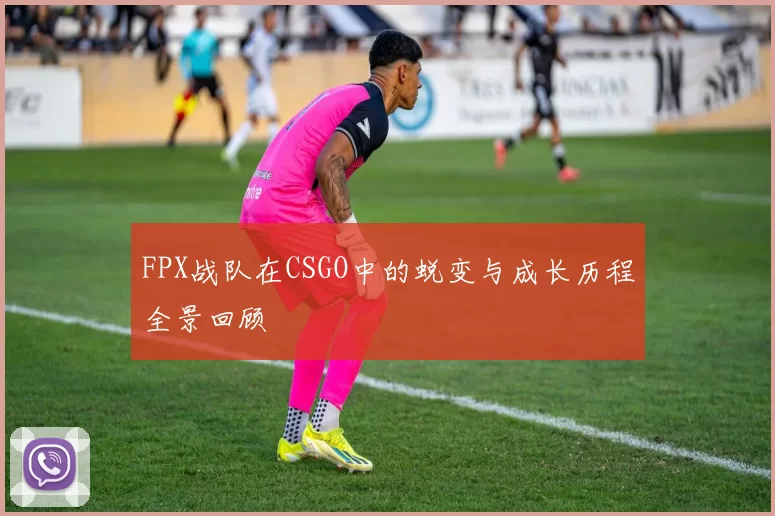 FPX战队在CSGO中的蜕变与成长历程全景回顾