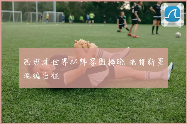 西班牙世界杯阵容图揭晓 老将新星混编出征