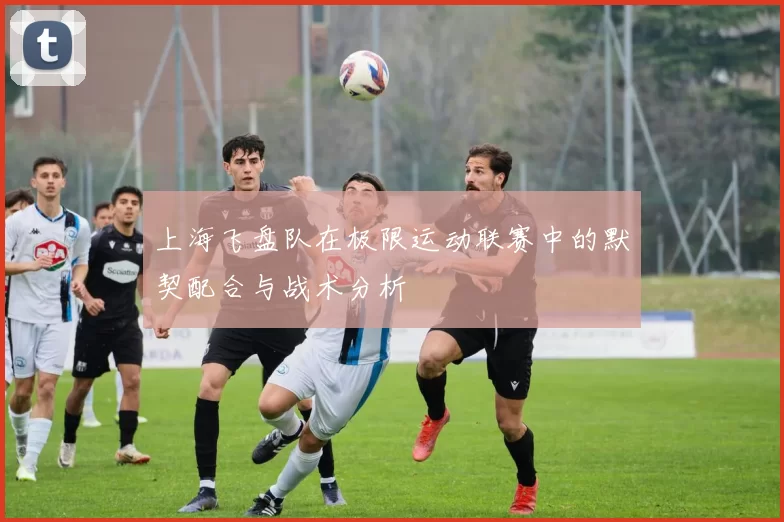 上海飞盘队在极限运动联赛中的默契配合与战术分析
