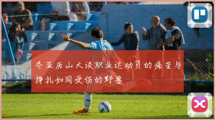 乔亚历山大谈职业运动员的痛苦与挣扎如同受伤的野兽