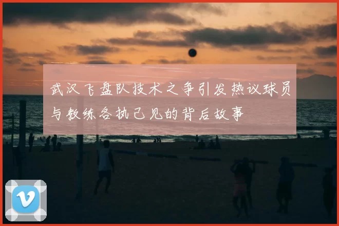 武汉飞盘队技术之争引发热议球员与教练各执己见的背后故事