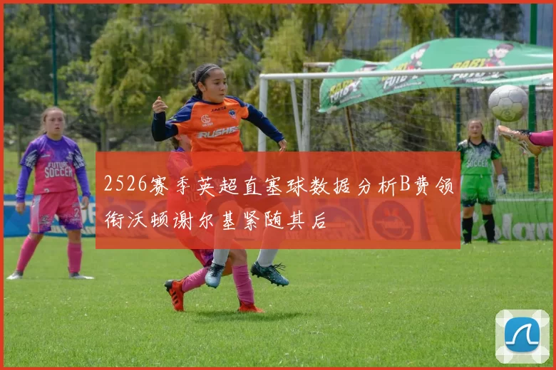 2526赛季英超直塞球数据分析B费领衔沃顿谢尔基紧随其后