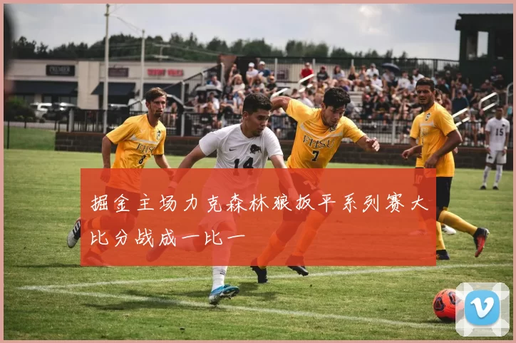 掘金主场力克森林狼扳平系列赛大比分战成一比一