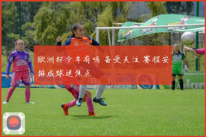 欧洲杯今年有吗 备受关注 赛程安排成球迷焦点